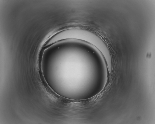 X0000096980150200802151338