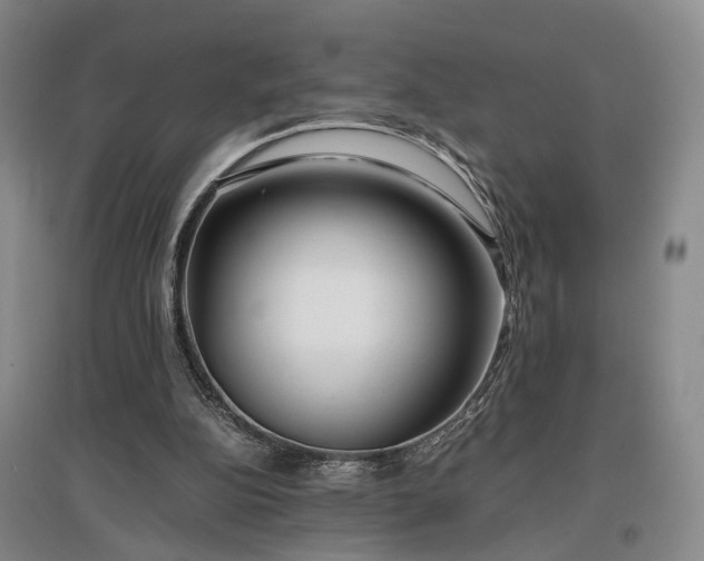 X0000096980152200802151338