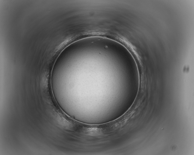 X0000096980153200802151338