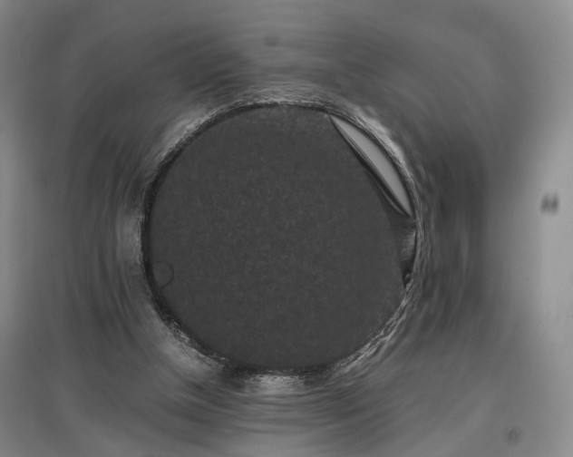 X0000096980154200802151338