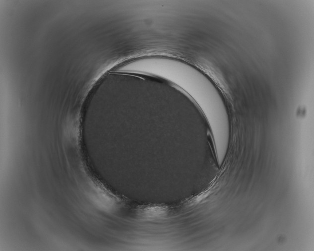 X0000096980156200802151338