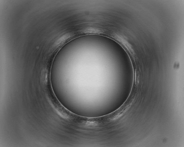 X0000096980157200802151338