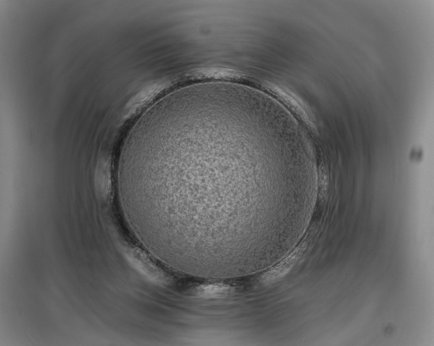 X0000096980158200802151338