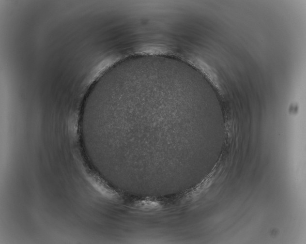 X0000096980159200802151338