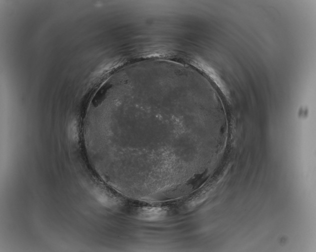 X0000096980161200802151338