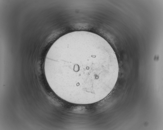 X0000096980162200802151338