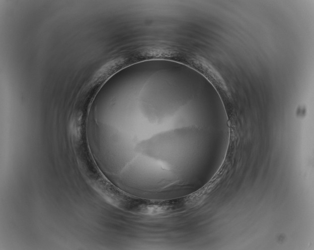 X0000096980163200802151338