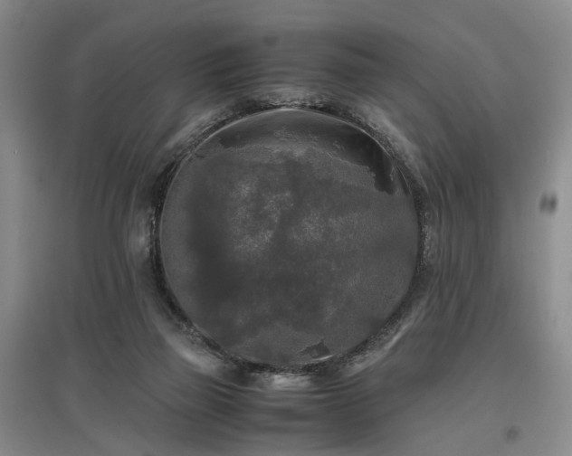 X0000096980165200802151338