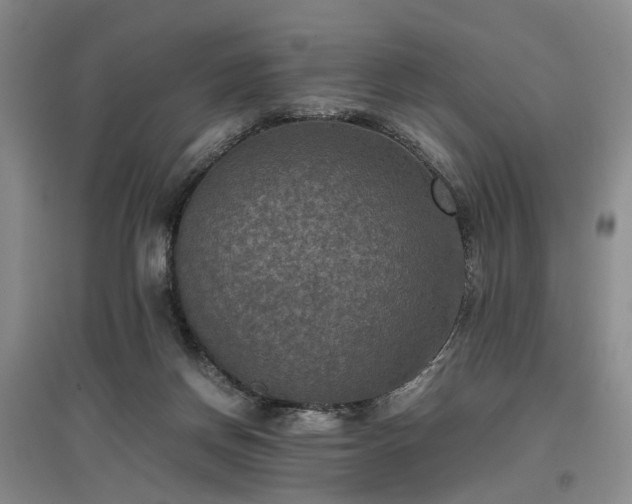 X0000096980166200802151338