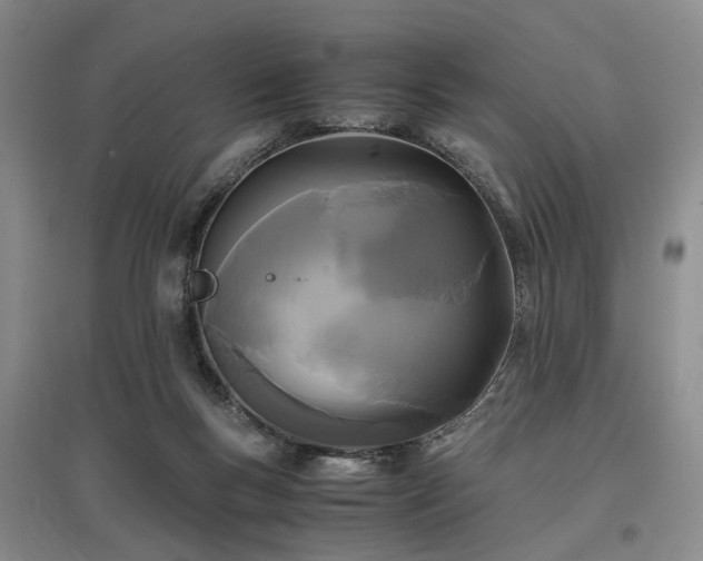 X0000096980167200802151338