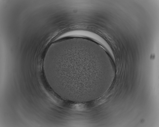 X0000096980168200802151338