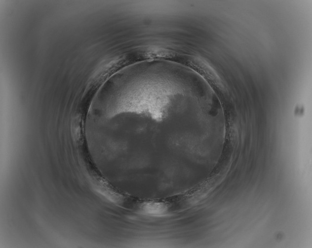 X0000096980169200802151338