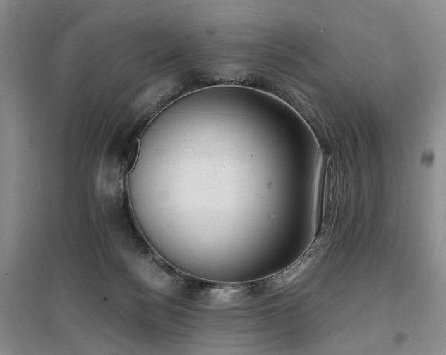 X0000096980172200802151338