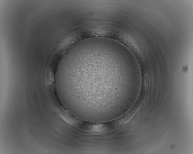 X0000096980173200802151338