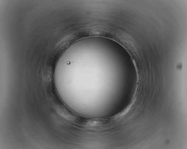 X0000096980174200802151338