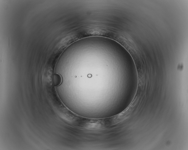 X0000096980175200802151338