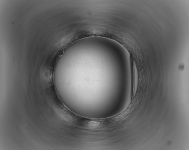 X0000096980176200802151338