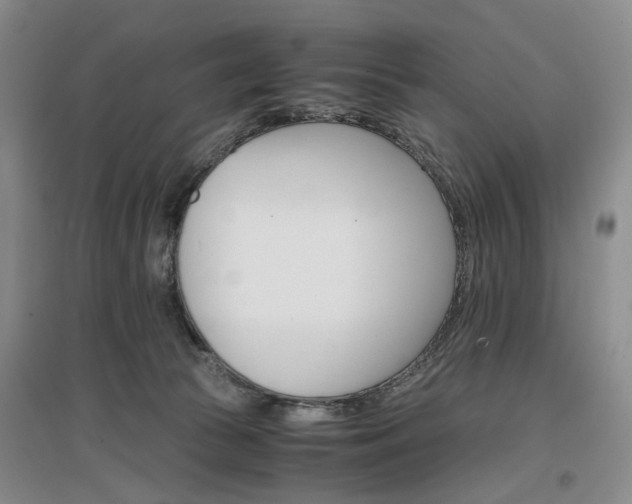 X0000096980177200802151338