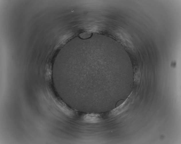 X0000096980179200802151338