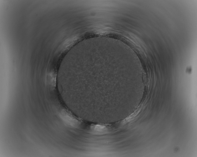 X0000096980180200802151338