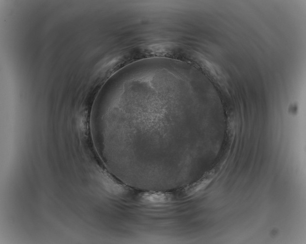 X0000096980181200802151338