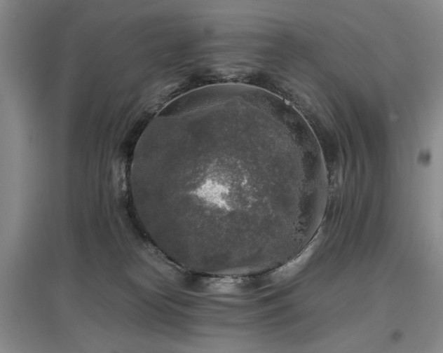 X0000096980182200802151338