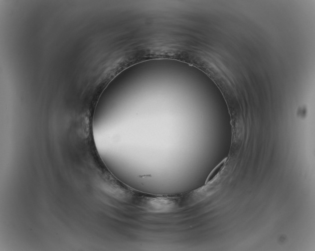 X0000096980183200802151338