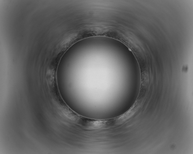 X0000096980184200802151338