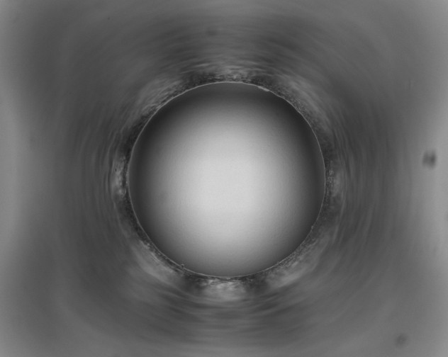 X0000096980185200802151338