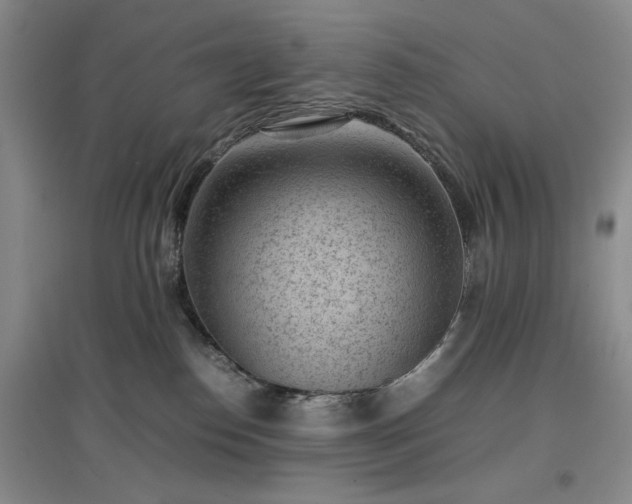 X0000096980186200802151338