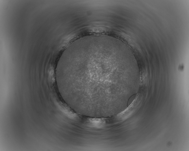 X0000096980187200802151338