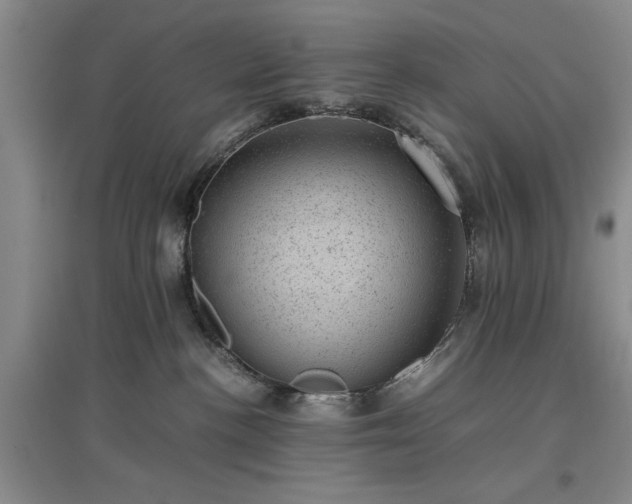 X0000096980188200802151338