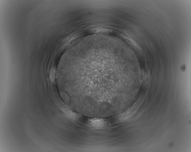 X0000096980189200802151338