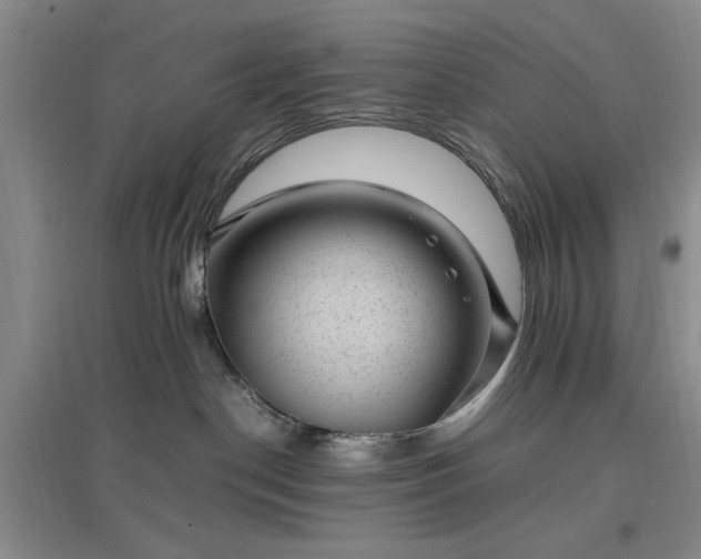 X0000096980190200802151338