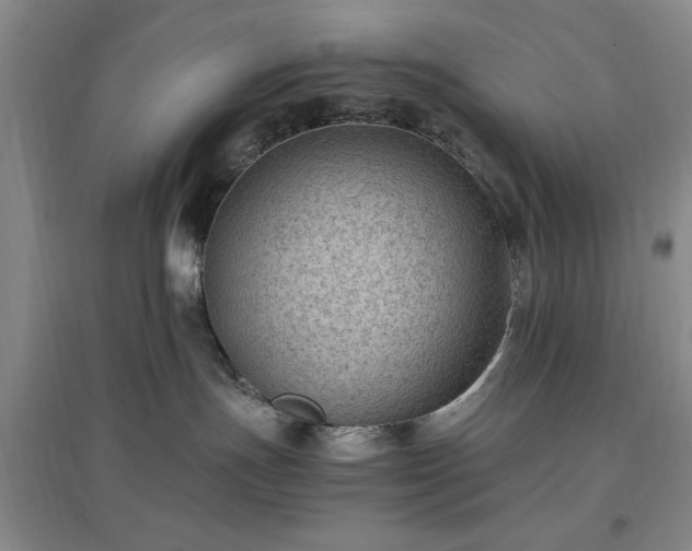 X0000096980191200802151338