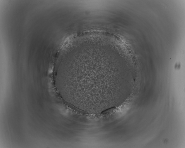 X0000096980192200802151338