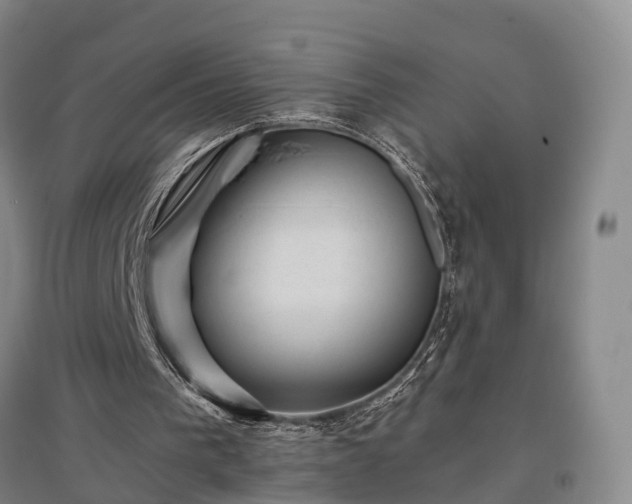 X0000096980193200802151338