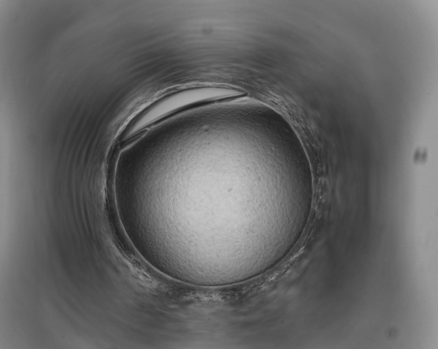 X0000096980194200802151338