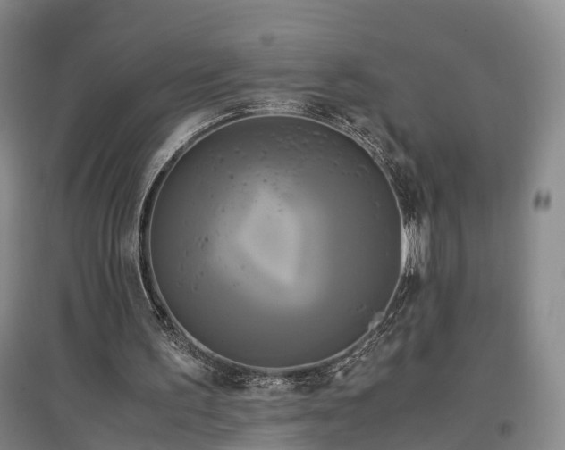 X0000096980195200802151338