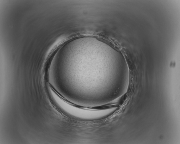 X0000096980197200802151338