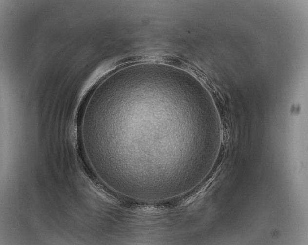 X0000096980198200802151338