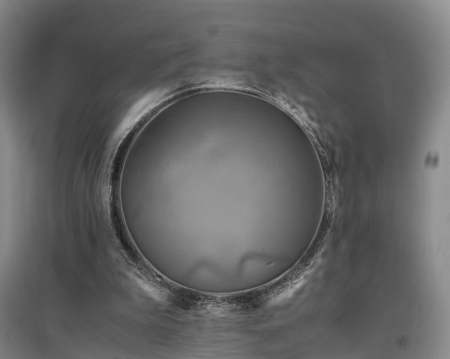 X0000096980199200802151338