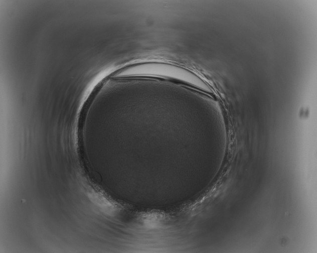 X0000096980200200802151338