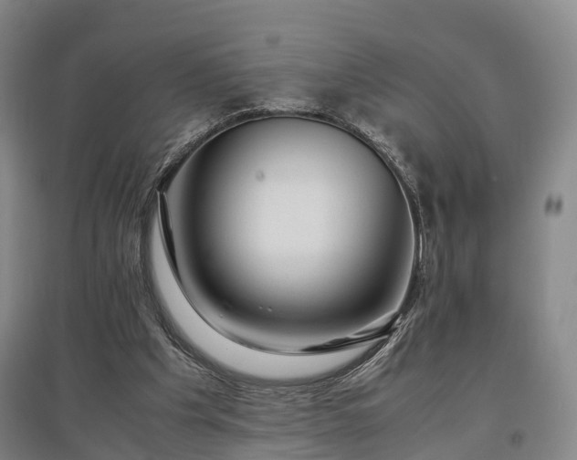 X0000096980201200802151338