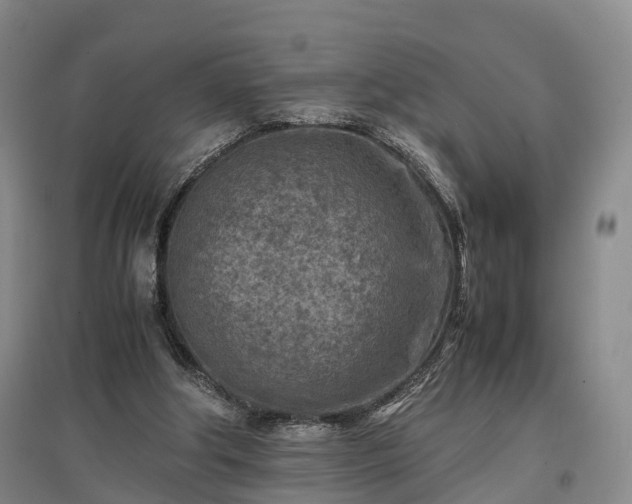 X0000096980202200802151338