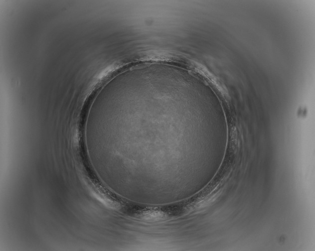 X0000096980203200802151338