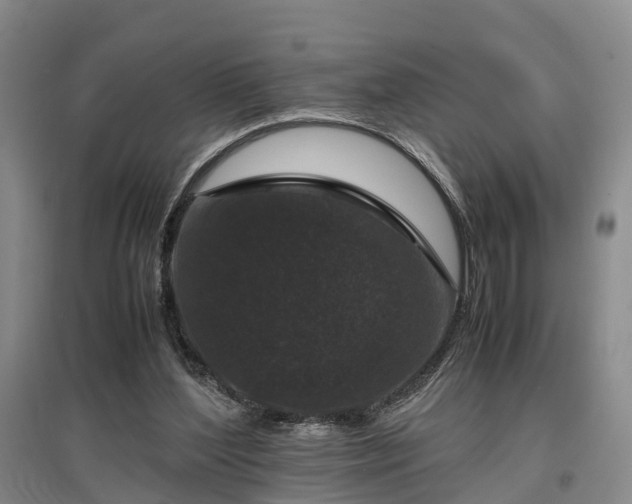 X0000096980204200802151338