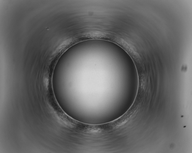 X0000096980206200802151338