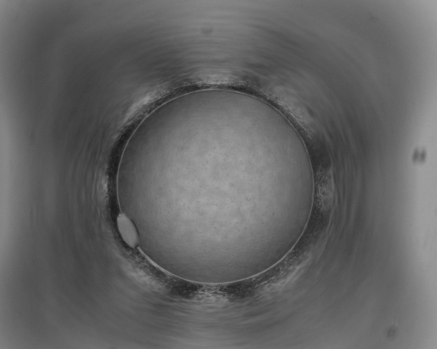 X0000096980207200802151338