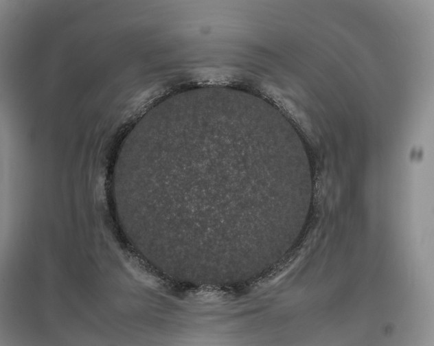 X0000096980209200802151338